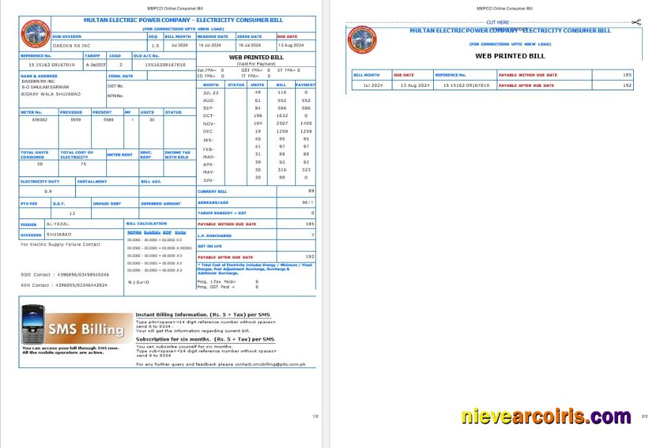 PAKISTAN MULTAN ELECTRIC POWER business utility bill